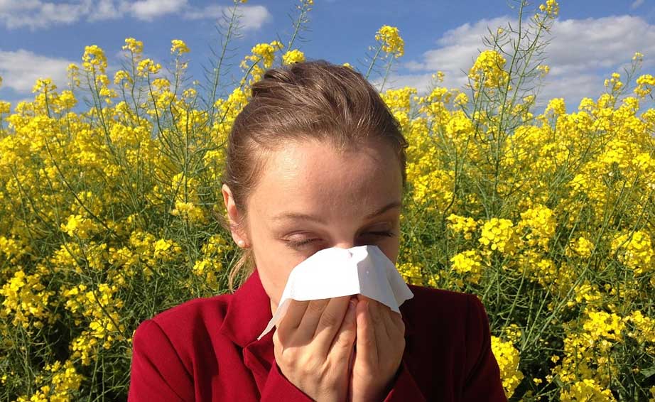 Allergien Die Geisel von heute - Allergien: Die Geißel von heute